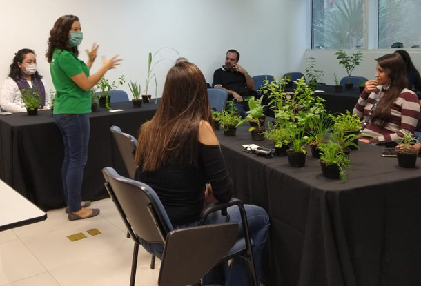 Educação ambiental