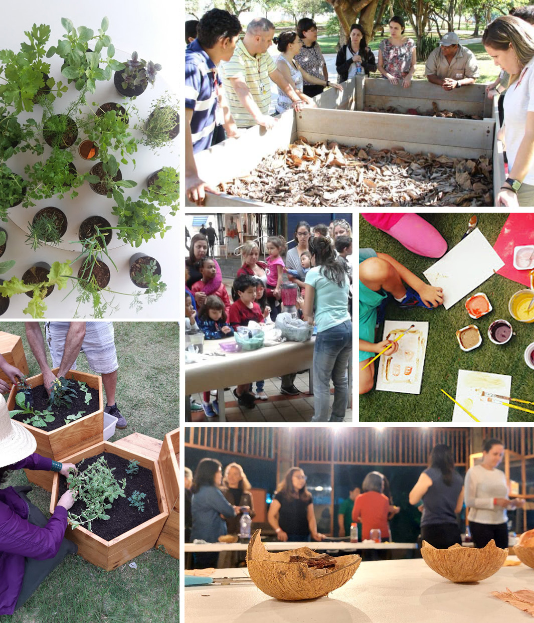 Educação Ambiental